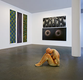 Intuitive Progression installation view at Fisher Landau Center for Art